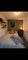 Photo of flatshare in Harold Wood