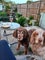 Photo of houseshare in Hayes