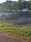 Photo of houseshare in Chepstow