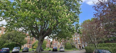 Modern One-Bed Flat in Summertown | Immediate Move Main Photo