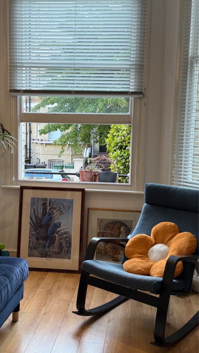 NW3 Bright Stylish Whole Flat  Main Photo