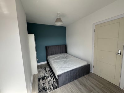 Comfortable Double Room in Small Quiet House Share Main Photo