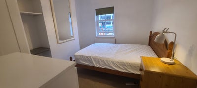 Gorgeous  garden facing double room city Main Photo