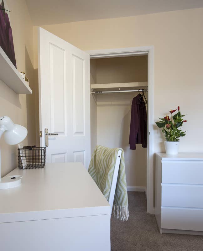 Stylish friendly houseshare, lovely garden & shed Main Photo
