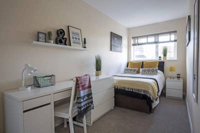 Stylish friendly houseshare, lovely garden & shed Main Photo