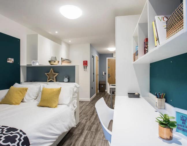 Studio Room Tenancy Available for the summer Main Photo