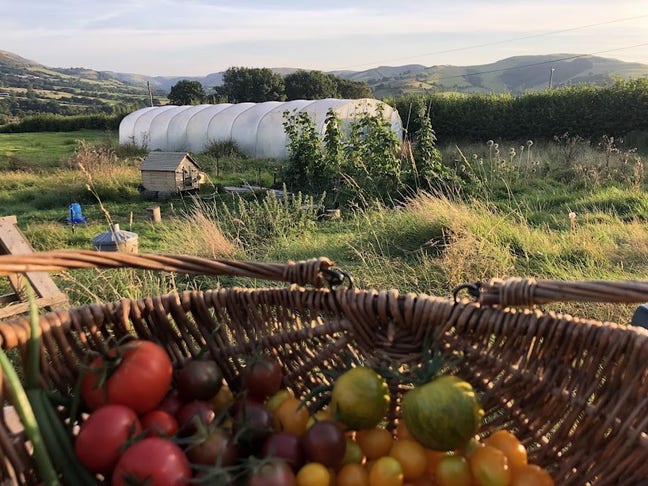 Beautiful live-in van in a land-based community Main Photo