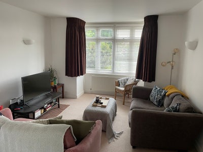 New housemate wanted in BS6! Main Photo