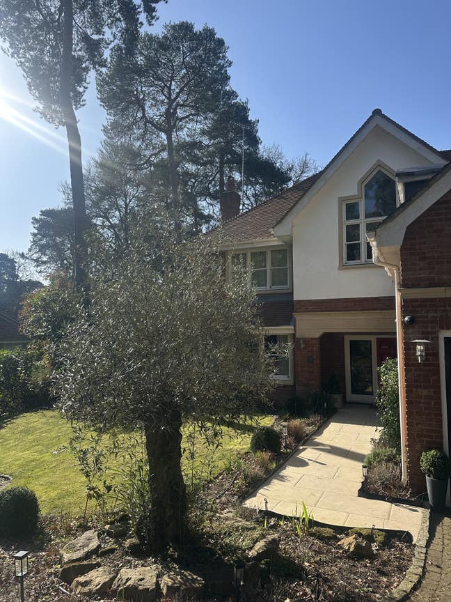 Beautiful Spacious Room | 10 mins walk to station Main Photo