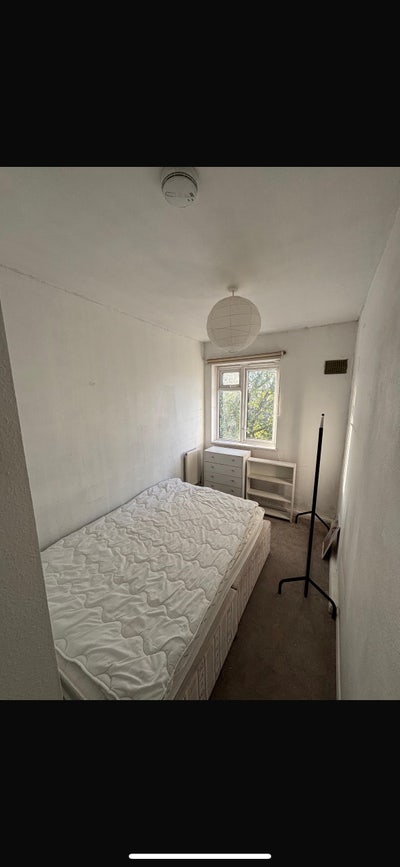 Room Available in Bow! Main Photo