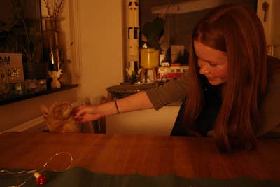 Master's student looking for flatmates!  Main Photo