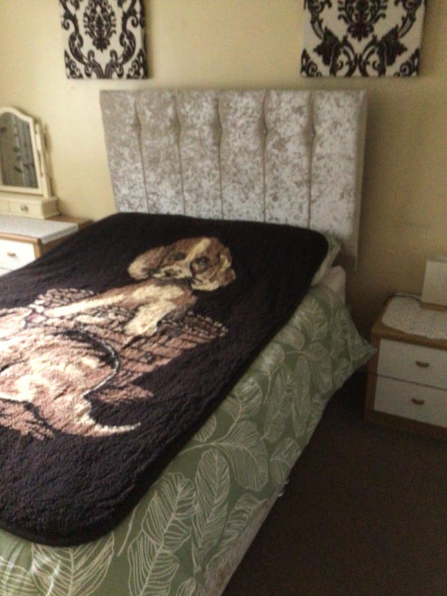 Large double room Main Photo