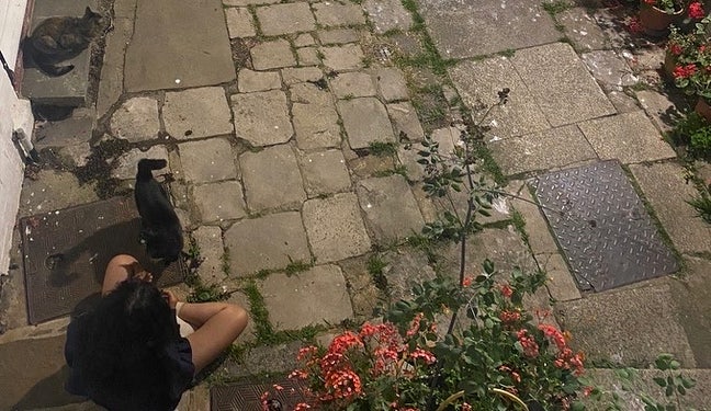 Looking for a double room/flatmate  Main Photo