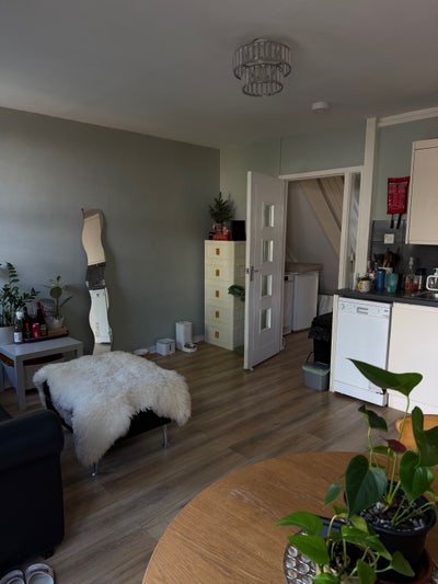 2 Double Rooms available  Main Photo
