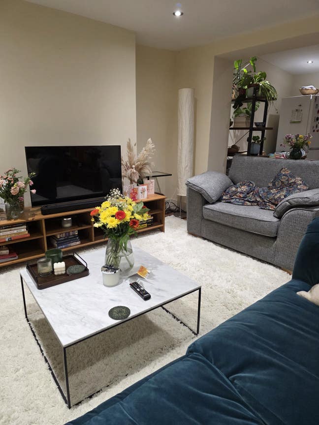 SUBLET May/June De Beauvoir Double Room Garden Fla Main Photo