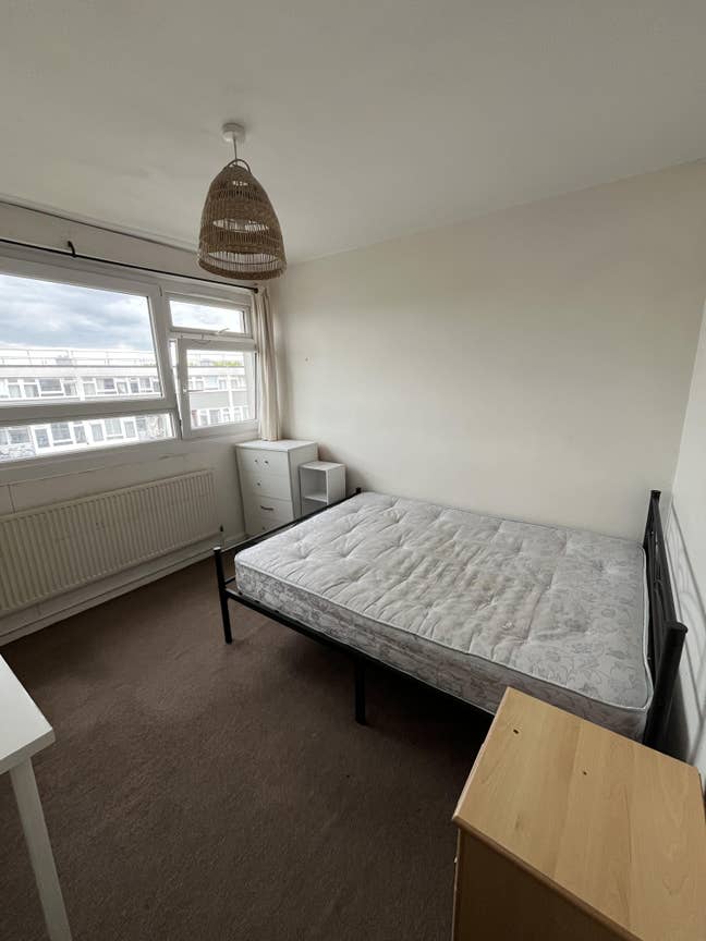 Bright room in Mile End share house Main Photo