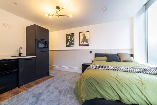 🍎 Large Studio Room 🍎  - Ensuite - Best Location Main Photo