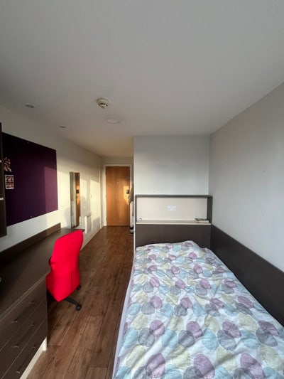 Lovely En-Suite Room in Student Hall (5 weeks) Main Photo