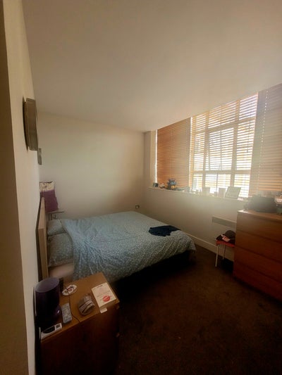 Bright Room + Private Bathroom in friendly flat Main Photo