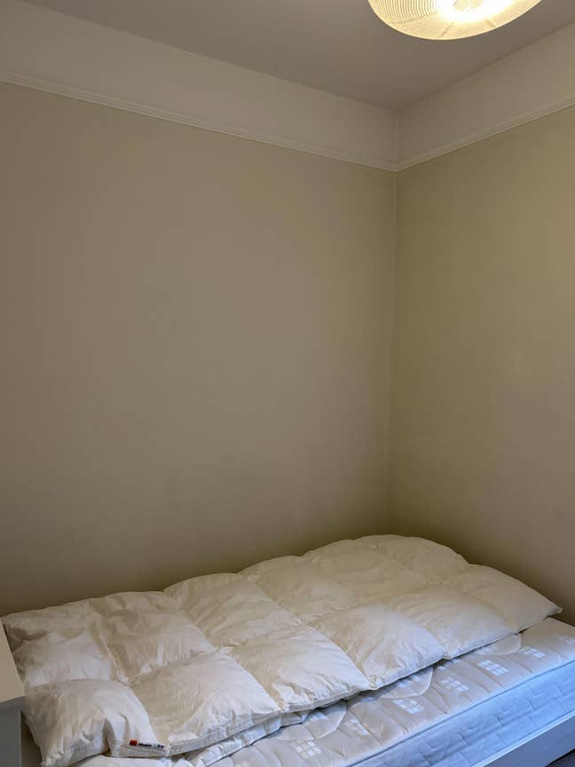 Double room available in 2-bed flat in Newington,  Main Photo