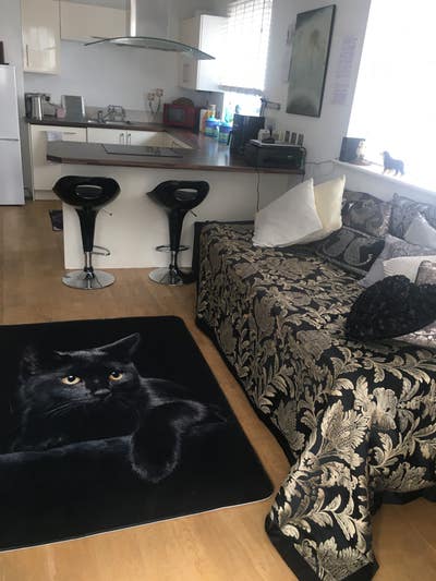 Double room with own bathroom to rent  Main Photo