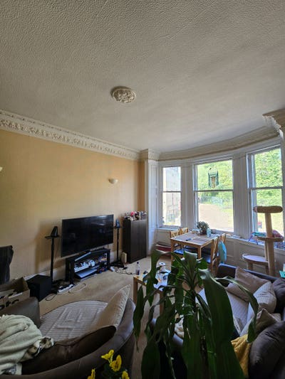Room Available in Friendly, Social Flat Main Photo