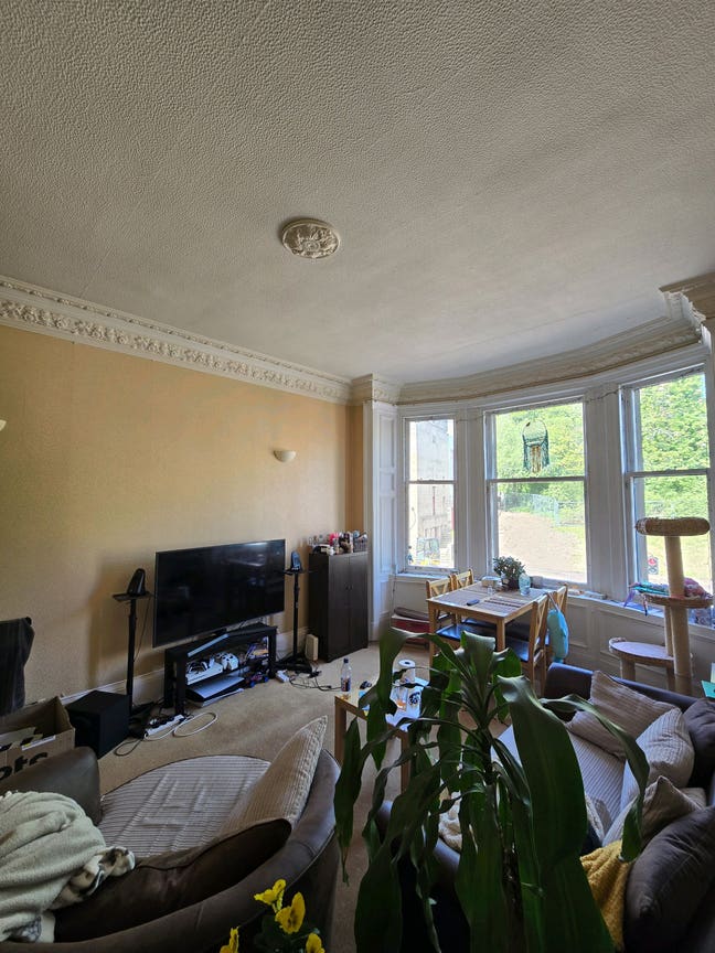 Room Available in Friendly, Social Flat Main Photo