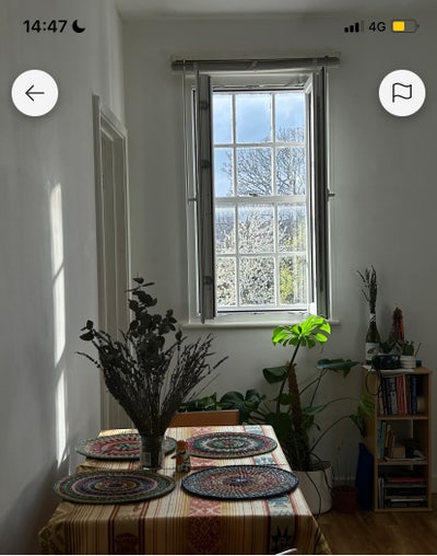 Room in London Fields  Main Photo