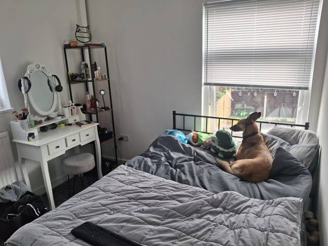 Searching for a housemate to split rent/bills Main Photo