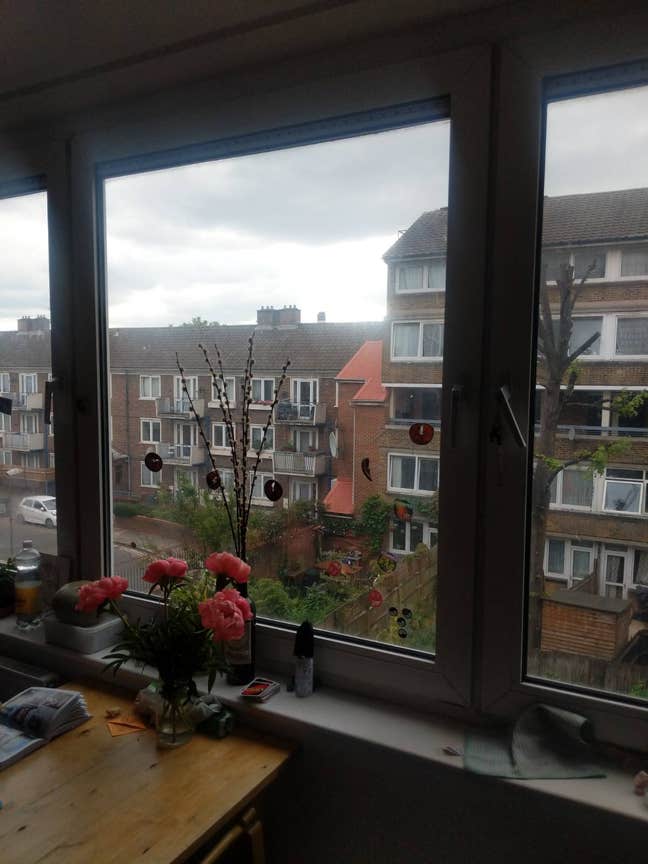 1 Room in Peckham next to Burgess Park Main Photo