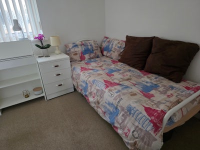 House share- furnished room in a clean+quiet house Main Photo