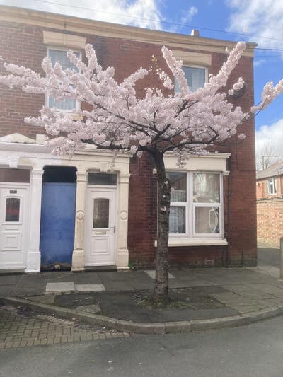One double bedroom with own bathroom Main Photo
