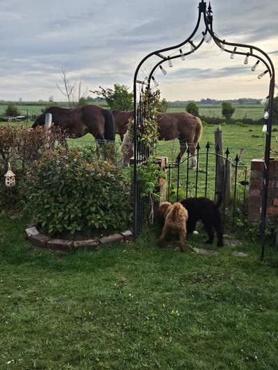 Bungalow Share Main Photo