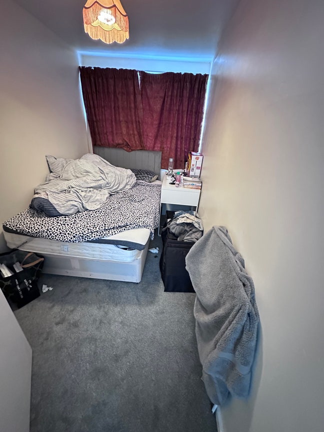 Singel Room Main Photo