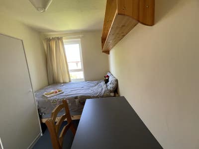 Single room available Main Photo