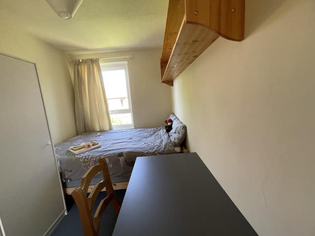 Single room available Main Photo