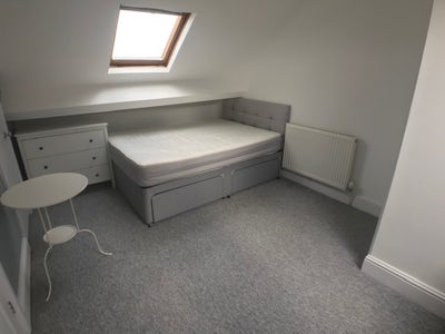 Beautiful Ensuite room just off Gloucester Road Main Photo