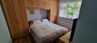  LGBT House Share With  Main Photo