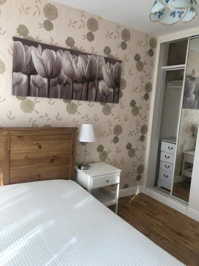 Double Room in Battersea  Main Photo