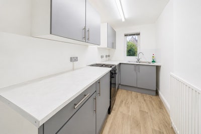 Hmo Main Photo