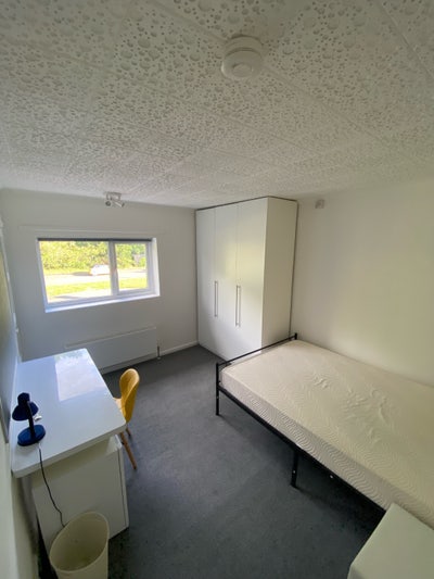 3 Bedroom House Available for 2026-2027 Main Photo