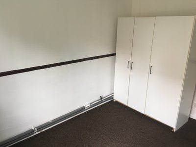 Room in a Shared Flat, Priory Court, SE15 Main Photo