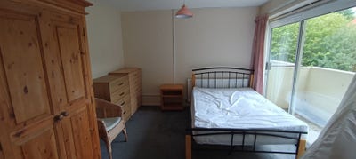 Large room in five-person house share Main Photo