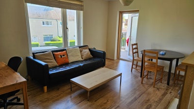 A spacious Double Bedroom in Newington from 1/June Main Photo
