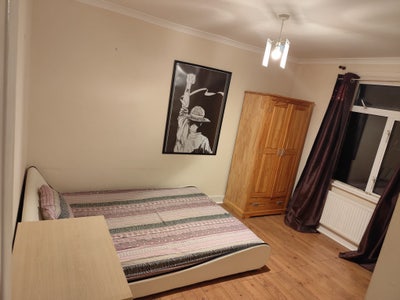Double roomavailable for share with vegetarian men Main Photo