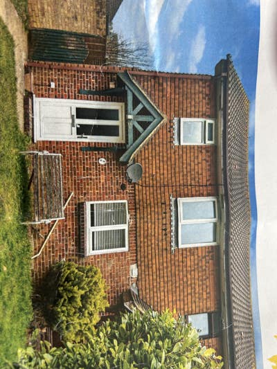Trustworthy female lodger /companion sought Main Photo