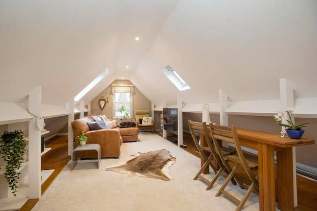 Summer Bargain: Huge Renovated Suite for Cat-Lover Main Photo