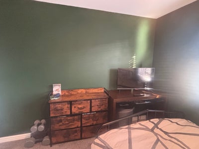 Lovely room in Frome Main Photo