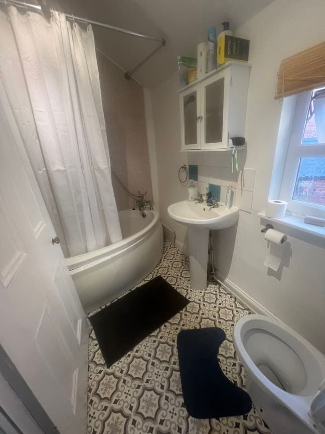 Single room for female  Main Photo