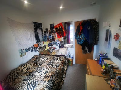 Double room in massive Veggie house Main Photo